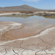 An ephemeral Atacama lagoon.